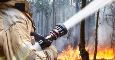 Firefighter putting out bush fire