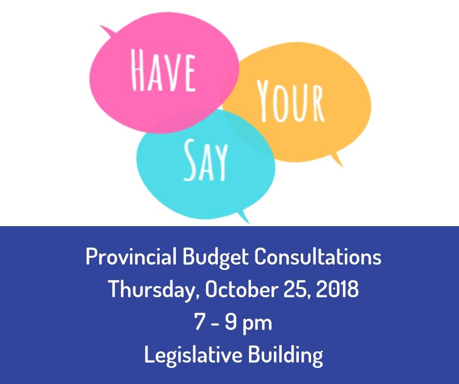 Have Your Say Manitoba provincial budget consultations