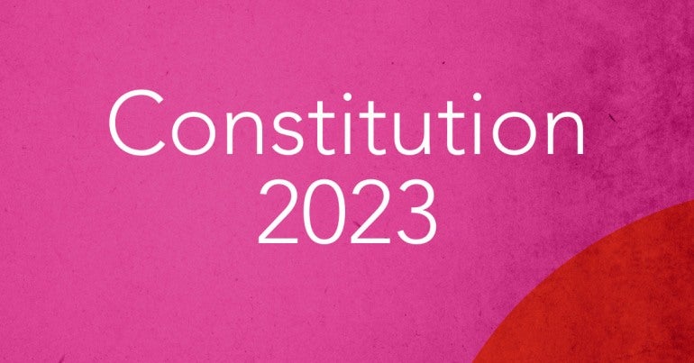 Constitution 2023