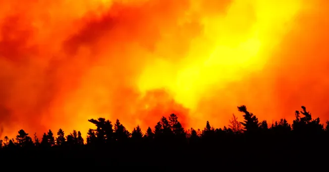 Wildfires