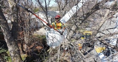 A CUPE 21 member completing forestry work in Regina. Photo credit: Barry Rud/Fire Cube Video