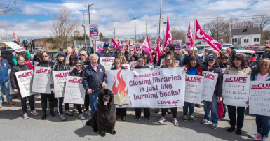 Newfoundland public libraries