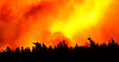 Images of wildfires