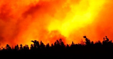 Images of wildfires