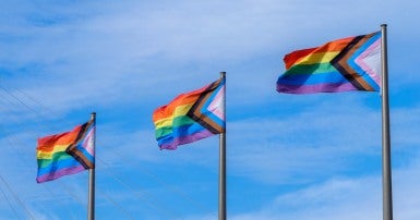 Progress pride flags