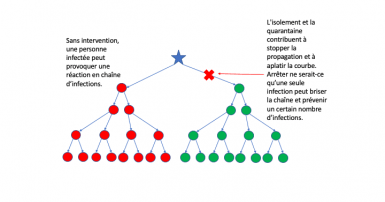 Sans intervention, une personne infectée peut provoquer une réaction en chaîne d’infections. L'isolement et la quarantaine contribuent à stopper la propagation et à aplatir la courbe. Arrêter ne serait-ce qu’une seule infection peut briser la chaîne et pr