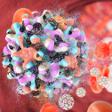Hepatitis B Hepatitis B virus enlarged
