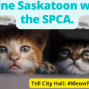 Two kittens with the text Imagine Saskatoon without the SPCA