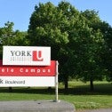 York University
