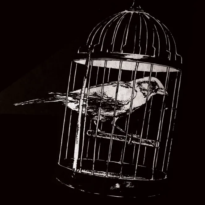 Graphic of the health and safety symbol, the canary.