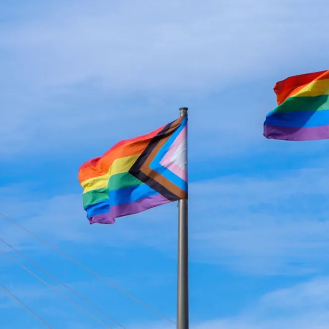 Progress pride flags