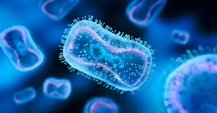 Image of monkeypox virus