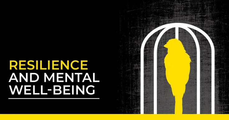 Resilience and mental well-being
