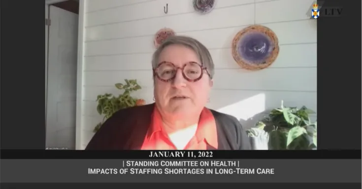 Screen capture: Nan McFadgen speaking via video conference to the NS Standing Committee on Health.