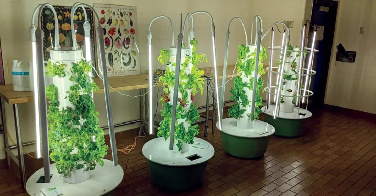 Hydroponic towers