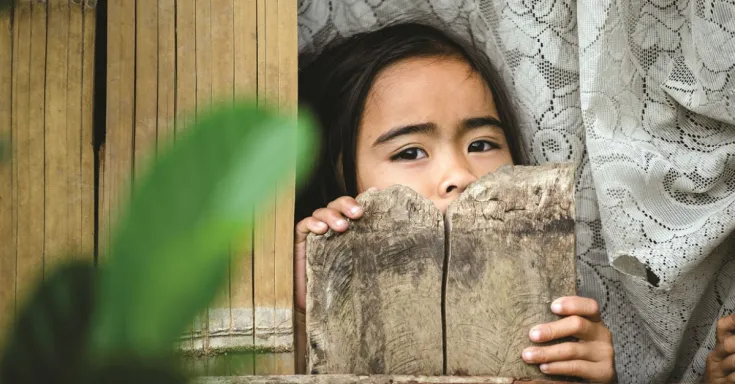 solidaritydelegations