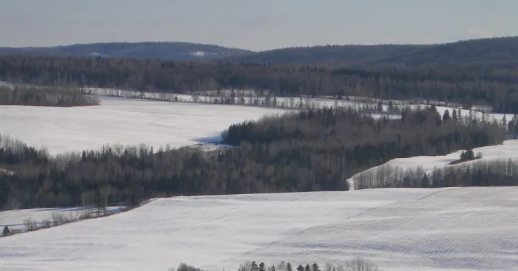 Saint-Léon-le-Grand